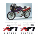 Kit adhésifs Aprilia AF1 125 Sintesi - 1988