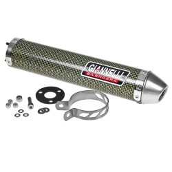 Silencieux d'échappement KEVLAR pour Aprilia RS 125 - GIANNELLI