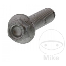 Vis 6 Pans (M8x1.25x30) - Aprilia RS 125 / 250 - APRILIA OEM APR_717.01.29 APRILIA OEM