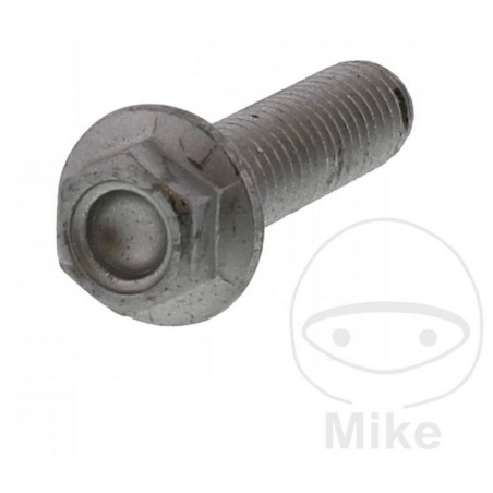 Vis 6 Pans (M8x1.25x30) - Aprilia RS 125 / 250 - APRILIA OEM APR_717.01.29 APRILIA OEM