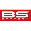 Manufacturer - BS BATTERY